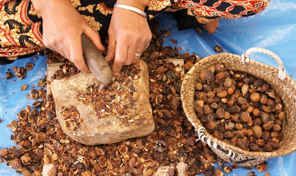 Étapes de Fabrication de l’Huile d’Argan